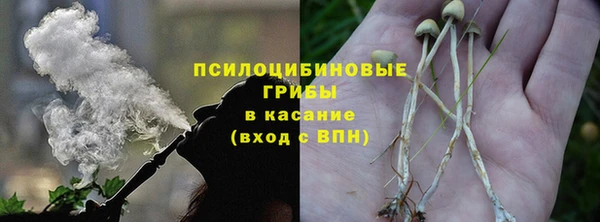 молекула духа Аркадак
