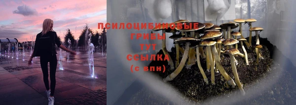 молекула духа Аркадак