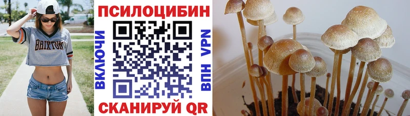 Псилоцибиновые грибы MAGIC MUSHROOMS  Радужный 