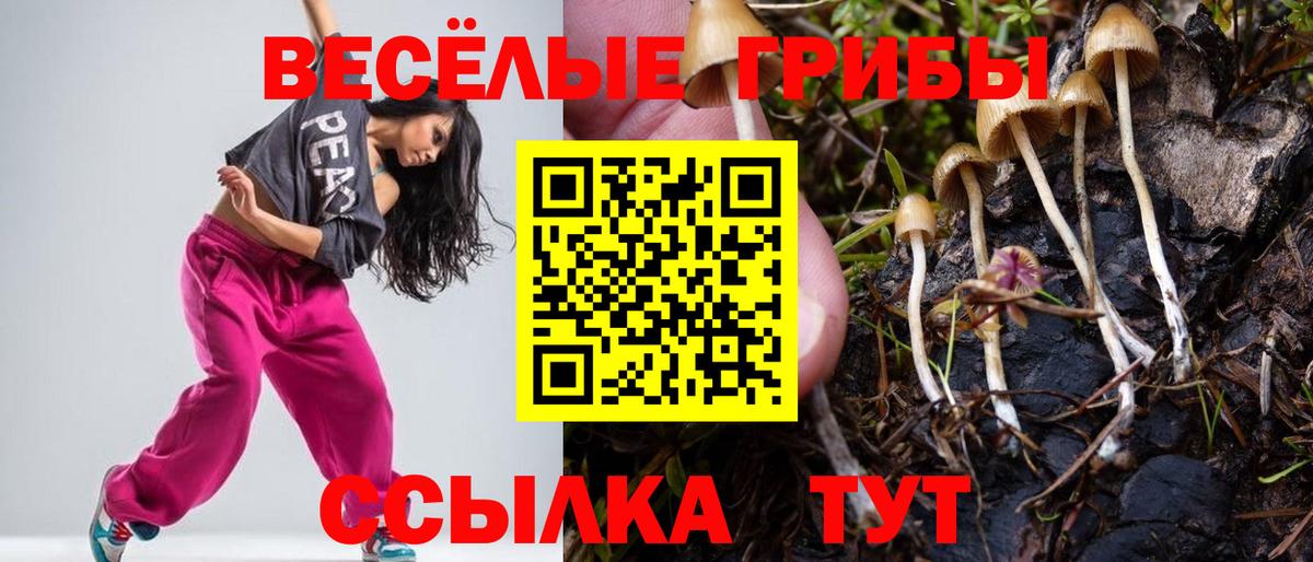 Псилоцибиновые грибы GOLDEN TEACHER  Галлюциногенные грибы MAGIC MUSHROOMS  Радужный  Вход с VPN 